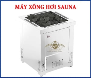 Máy xông hơi sauna 2